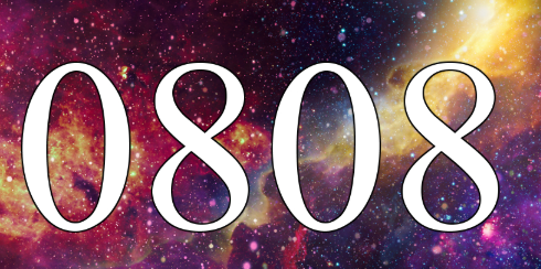 Людина бачить 0808