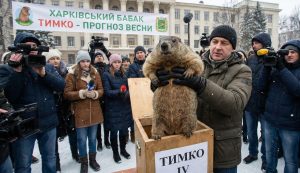 харківський бабак Тимко